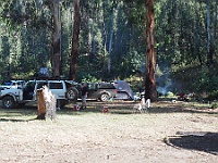 Camping at Little O'Tooles campground