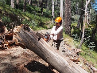 Heidi at work on Tomboon-McGuire Track