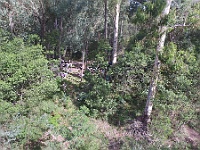 Campsite on the Avon River