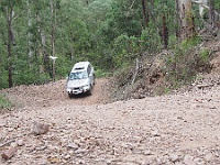 Jumbo climbs Avon track