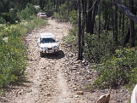 Jumbo descends Dolodrook Track